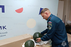 Сотрудники МЧС навестили воспитанников Свято-Софийского социального дома