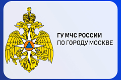 В рамках общегородской акции "День без турникетов" пожарно-спасательные части Москвы открыли свои двери для посетителей.