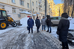 В Ломоносовском районе провели осмотр территории